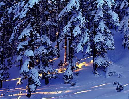 Izgrev-na-Pelisteru-008