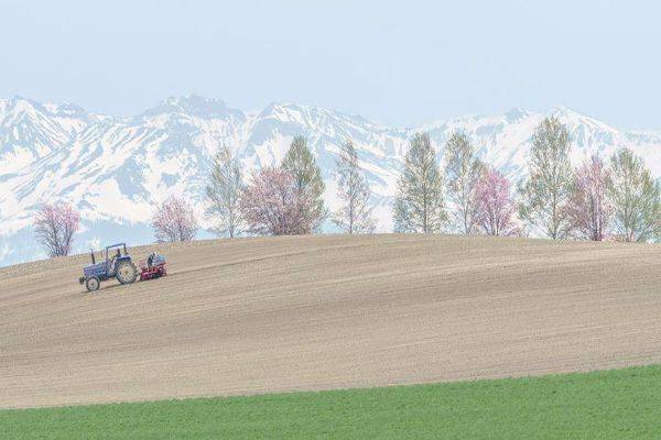 luksuz-turizam-odmor-destinacija-putovanje-japan (10)