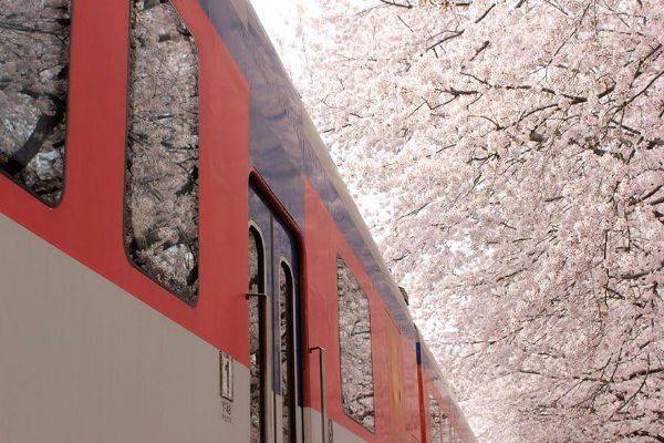 luksuz-turizam-odmor-destinacija-putovanje-japan (7)